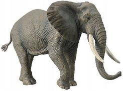 Zdjęcie Collecta Słoń Afrykański - Konstantynów Łódzki