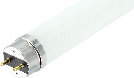 Smartled Świetlówka Tuba T8 Led 120Cm 18W Szkło (EC79539)