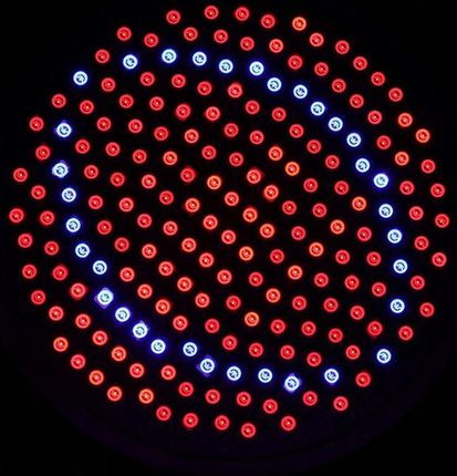 Mocna Żarówka Led E27 Grow 200Led Do Uprawy Roślin - zdjęcie 3