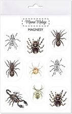 Zdjęcie INNA MARKA MAGNESY PAJĘCZAKI - Suchedniów