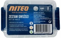 Zdjęcie Niteo Tools Zestaw Gwoździ ASJMP1006JC0 - Mszana Dolna