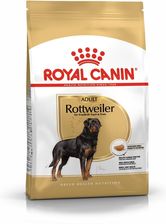 Karma dla psa Royal Canin Rottweiler Adult 12kg - zdjęcie 1