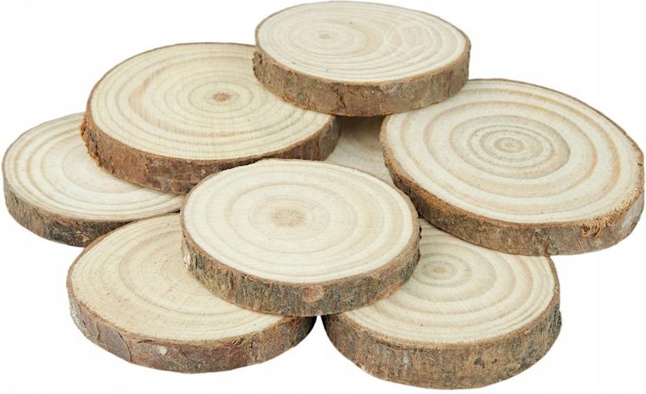 Drewniane Plastry krążki surowe 35-40mm 8szt. - Ceny i opinie - Ceneo.pl