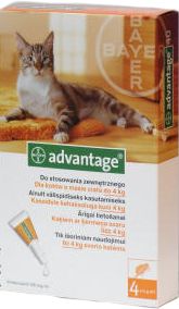 BAYER Advantage - krople na pchły dla kotów o masie ciała <4kg 4x0,4ml