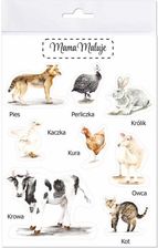 Zdjęcie Mama Maluje Naklejki Duże Zwierzęta Wiejskie 1 - Zwierzyniec