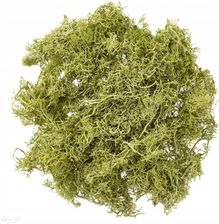 Zdjęcie Mech Dekoracyjny Jasnozielony 30G - Słupca