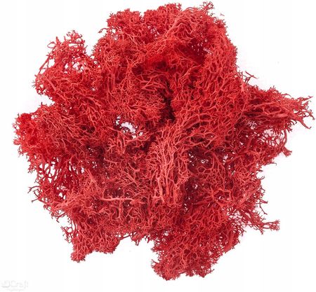 Naturalny mech reniferowy 30g Czerwony