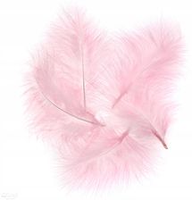 Zdjęcie Pióra Indycze Dekoracyjne 15 CM 5 Szt. Różowe - Biłgoraj