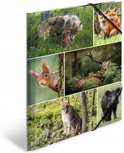 Zdjęcie Herma Teczka Tekturowa A4 Z Gumkami Leśne Zwierzęta - Pobiedziska