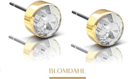 Blomdahl Kolczyki Bezel Crystal 4 mm SFJ złoty tytan medyczny