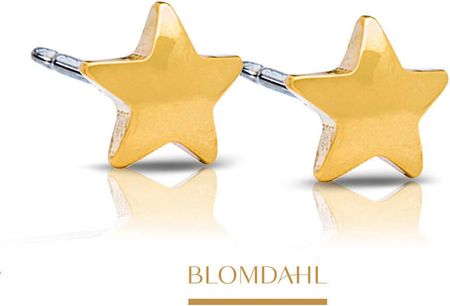 Blomdahl Kolczyki Star 5 mm SFJ złoty tytan medyczny
