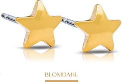 Blomdahl Kolczyki Star 8 mm SFJ złoty tytan medyczny