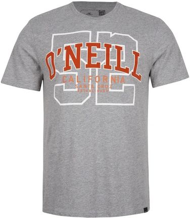 Męska Koszulka O'Neill Surf State T-Shirt 2850067-18013 – Szary
