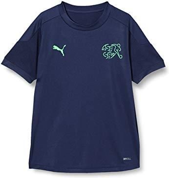 PUMA Jungen T-shirt SFV Training Jersey Jr, Peacoat/Green Glimmer, 128, 758288