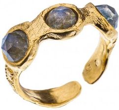 Zdjęcie Motyle PIERŚCIONEK Botanica MGL5617 - Sulmierzyce