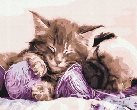 Obraz Malowanie po numerach Kot i pies Paint It