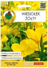 Zdjęcie Wiesiołek Żółty Nasiona Tradycyjne - Opole