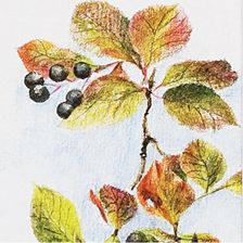 Zdjęcie Kredki akwarelowe Koh-i-noor 6 kol. - Łódź