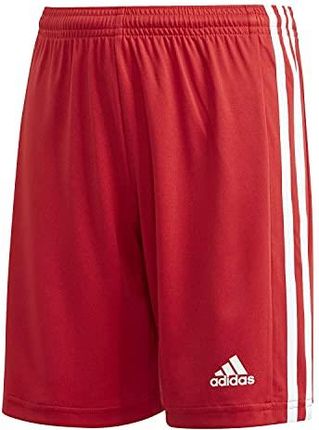 adidas Chłopięce Squad 21 Sho Y krótkie spodnie Team Power czerwony/biały 8 Years