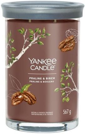 Yankee Candle Signature Praline & Birch Tumbler 567g