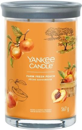 Yankee Candle Signature Farm Fresh Peach Tumbler 567g