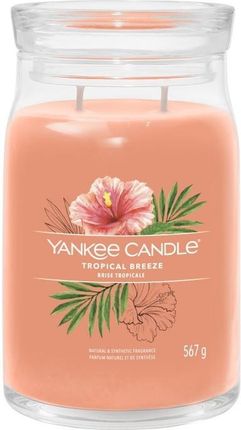 Yankee Candle Signature Tropical Breeze Świeca Duża 567g