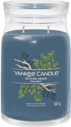 Yankee Candle Signature Bayside Cedar Świeca Duża 567g