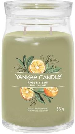 Yankee Candle Signature Sage & Citrus Świeca Duża 567g