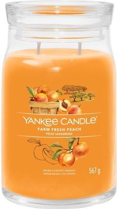 Yankee Candle Signature Farm Fresh Peach Świeca Duża 567g