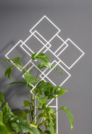 Podpórka Do Roślin Drabinka Kwadraty Pergola Na Kwiaty - zdjęcie 2