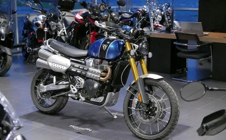 Fashion triumph scrambler price