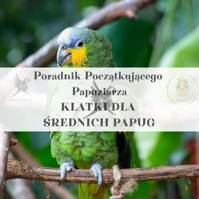 Parrot Planet Poradnik Początkującego Papuziarza Klatki Dla Średnich Papug