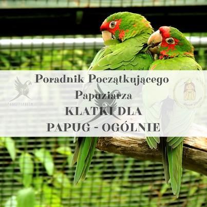 Parrot Planet Poradnik Początkującego Papuziarza Klatki Dla Papug Informacje Ogólne