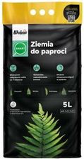 Zdjęcie Ziemia Do Paproci Smart 5L Wokas - Torzym