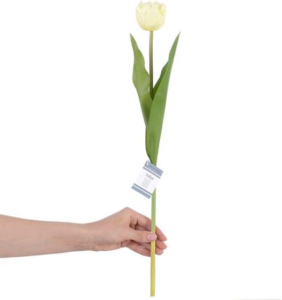 Ameliahome Sztuczne Kwiaty Tulipi Cream 1Pc 15276