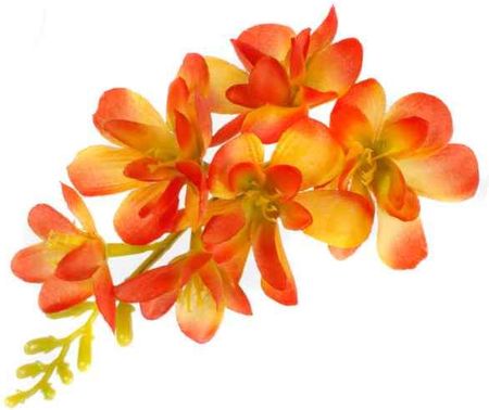 W138 Frezja Mięsista Główka Kwiat Orange 2776