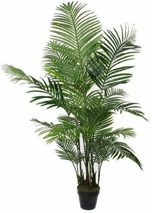 Mica Decorations Roślina Dekoracyjna Kolor Zielony Palma (80X160 Cm) 25225309
