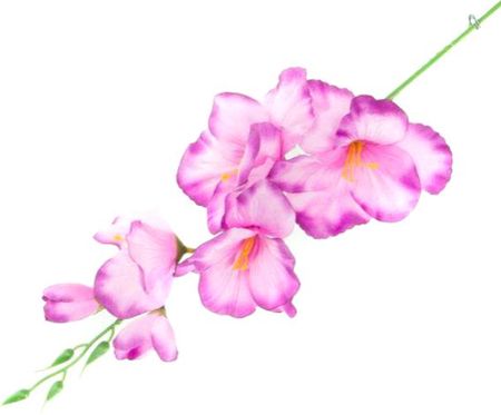 K461 Mieczyk Gałązka Wys.53 Cm Pink Purple Sztuczne Kwiaty Jak Żywe 3114