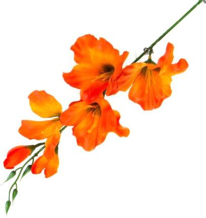 K461 Mieczyk Gałązka Wys.53 Cm Orange Sztuczne Kwiaty Jak Żywe 3116
