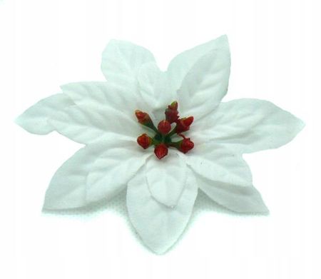W435 Poinsecja Główka Welur White 6 Szt Sztuczne Kwiaty Jak Żywe 1600