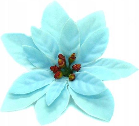 W435 Poinsecja Główka Welur Blue 6 Szt Sztuczne Kwiaty Jak Żywe 1603