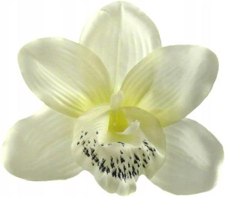 W14 Storczyk Cymbidium Główka Cream Sztuczne Kwiaty W Pąku 3219