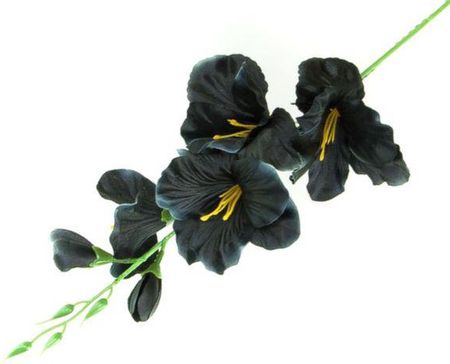 K461 Mieczyk Gałązka Wys.53 Cm Black Sztuczne Kwiaty Jak Żywe 3317