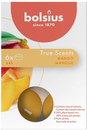 Bolsius Podgrzewacz Zapachowy True Scents Mango 6 Szt. 349145