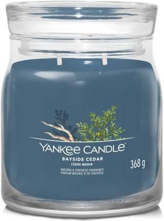 Yankee Candle Świeca Zapachowa Bayside Cedar Średnia 62857