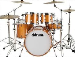 ddrum Dominion Maple - zdjęcie 1