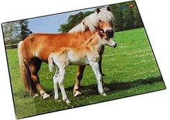 Sottomano Da Scrivania Läufer Con Cavalli Sulla Spiaggia - Antiscivolo Con Tasca Trasparente - Foto 13