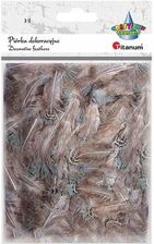 Zdjęcie Piórka Puch Szare Bażant 3G Titanum - Pobiedziska