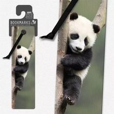 Zdjęcie Zakładka 3D 15405 Panda If - Grudziądz