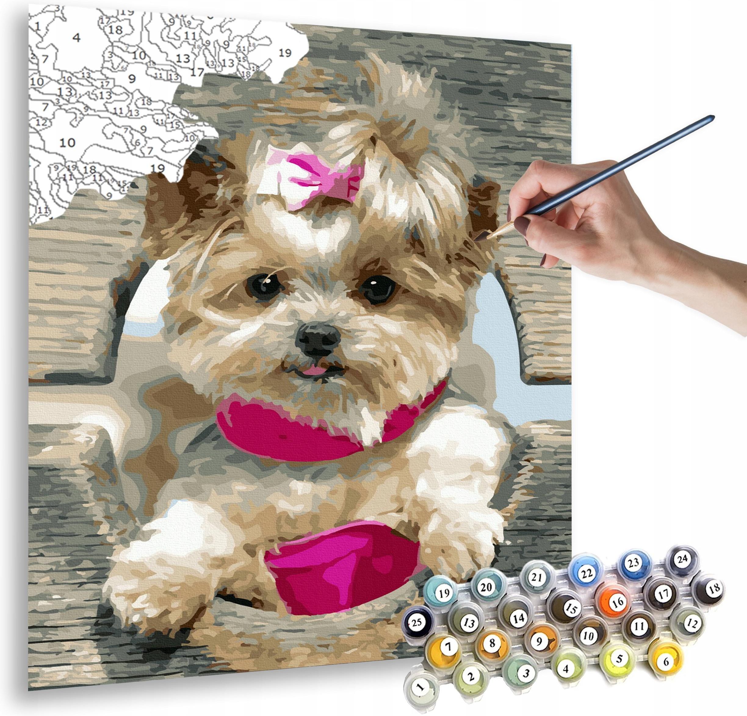 Geburtstagskarte Yorkshire Terrier Im Trainingsanzug – Blanko Premium Karte